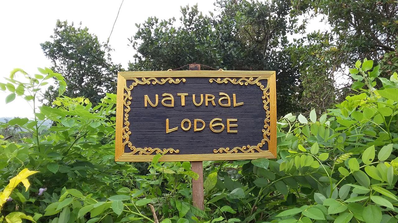 Natural Lodge 2 Selemadeg  Exterior photo